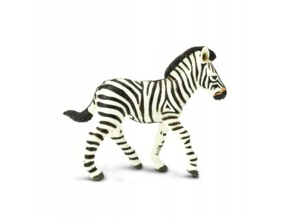 5139 5139 zebra hribe 01