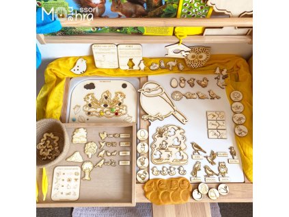 5397 ptaci sensory set 01