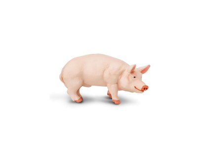 5556 5556 5556 kanec prasete domaciho 01