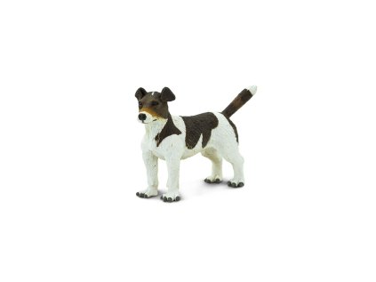 5595 5595 jack russel terier 01