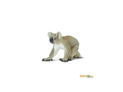 5640 5640 koala 01