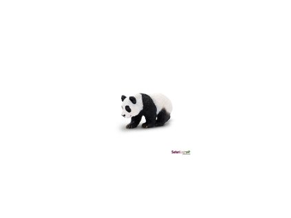 5649 5649 mlade pandy 01