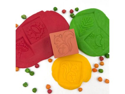 6147 eco podzimni kostka