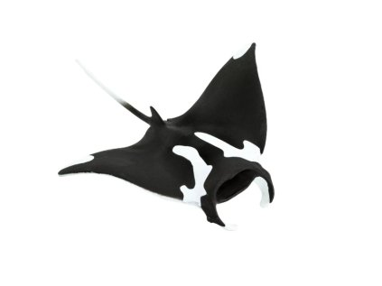 6363 6363 manta 01