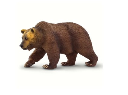 Medvěd Grizzly 01
