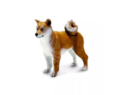 Shiba Inu 01