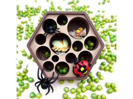 eco tacek hmyzi domecek