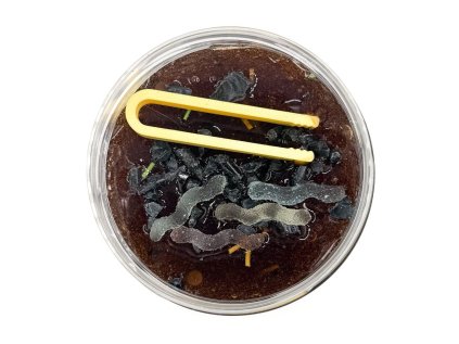 Gelový slizáček Žížalky