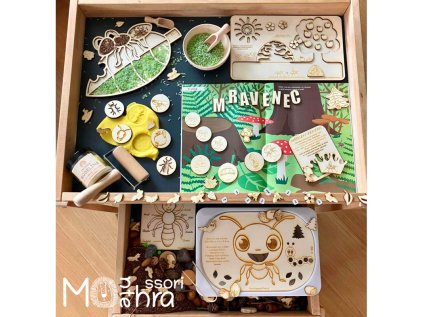 Mravenec sensory set 01