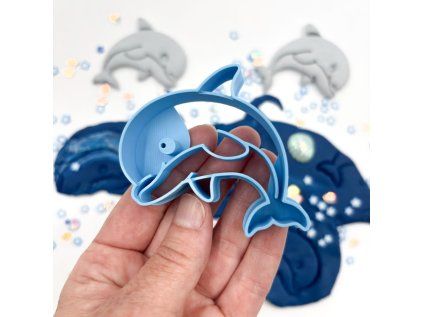 eco vykraj delfin