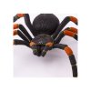 4899 1 4899 1 tarantule s oranzovymi koleny 2