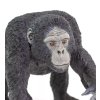 Šimpanz 09