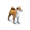 Shiba Inu 02