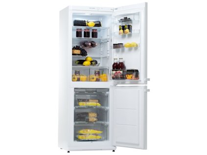 109813 lednice snaige rf31sm p1002e