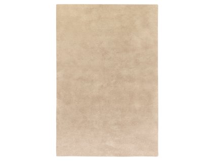 plaster 00
