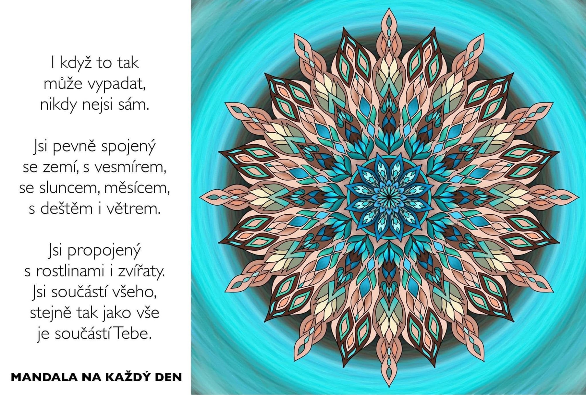 🌿 Nikdy nejsi sám 🌿