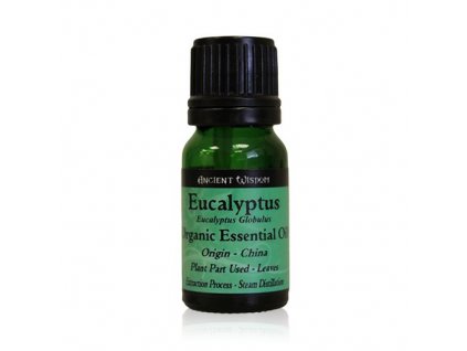 eukalyptus2