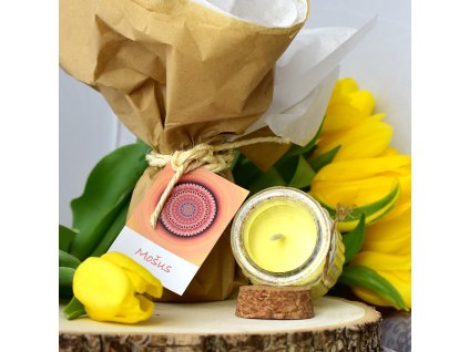 Aromaterapeutická svíčka MOŠUS
