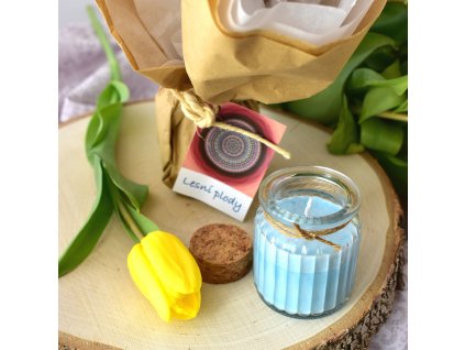 Aromaterapeutická svíčka LESNÍ PLODY