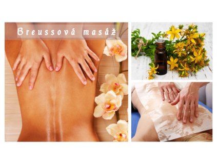 breussova