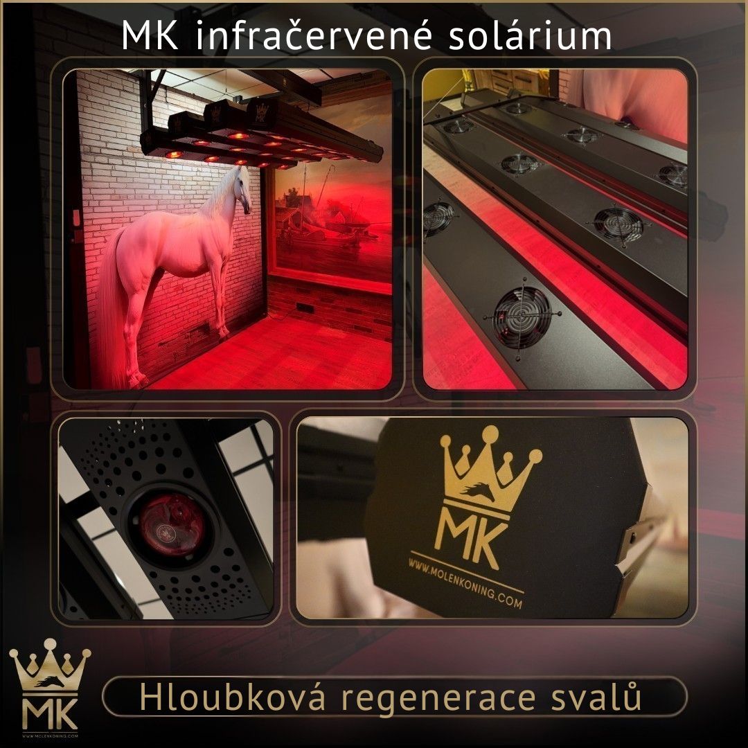 MK infračervené solárium pro koně: moderní regenerace svalů, která dává smysl po celý rok