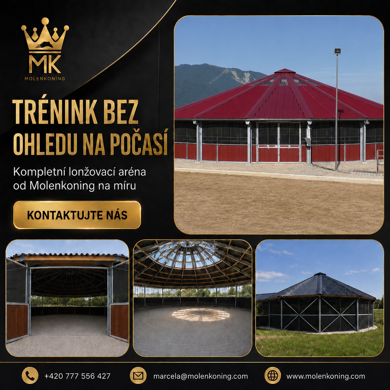 Lonžovací aréna značky Molenkoning: bezpečný trénink koní za každého počasí
