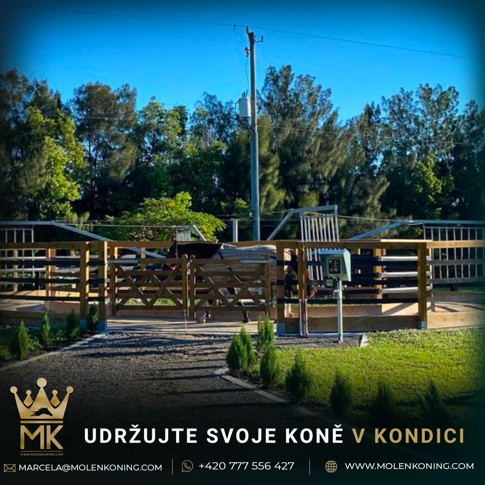 Nejlepší volba pro zdraví a kondici vašich koní!