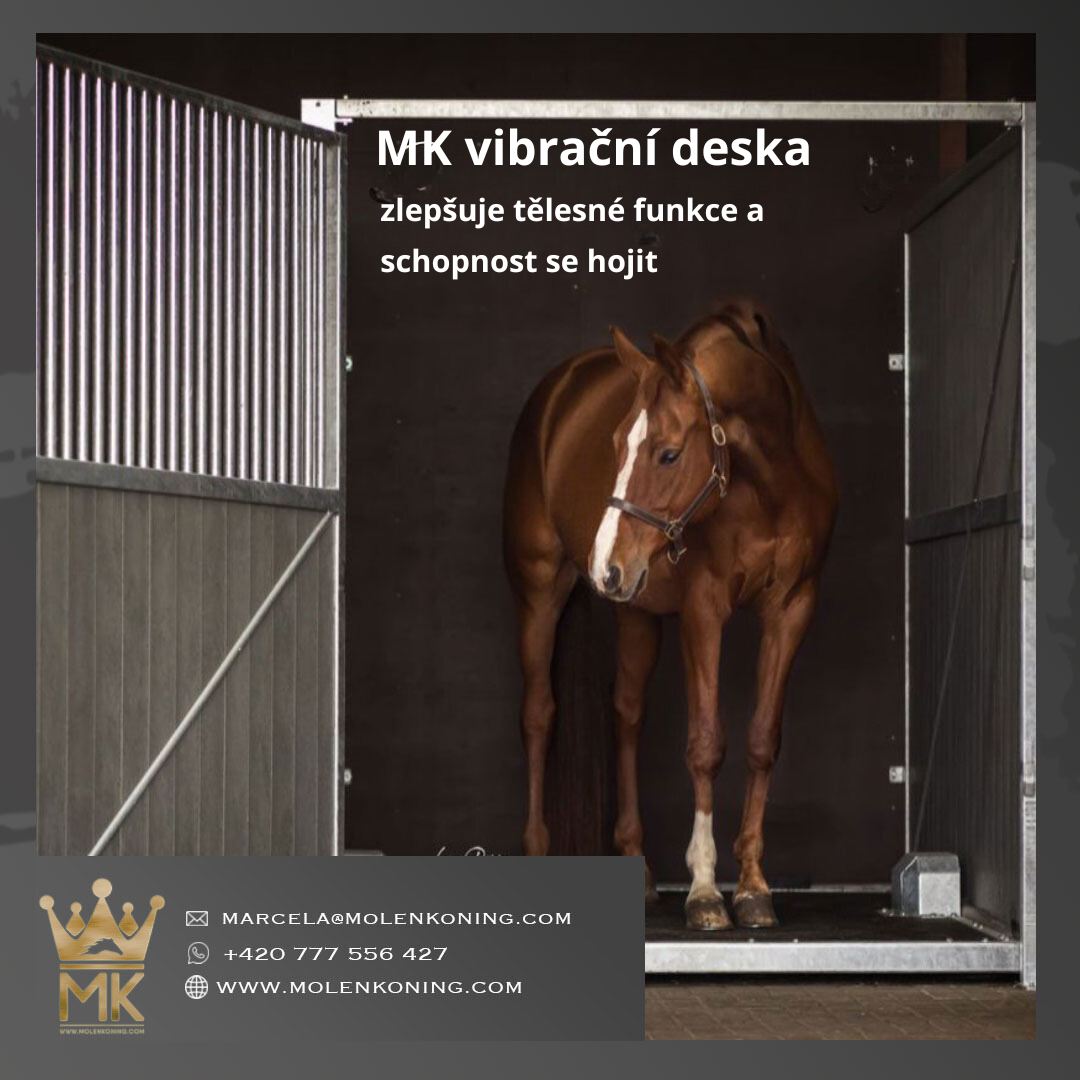 424937201_363137296613149_8184786450023794892_n