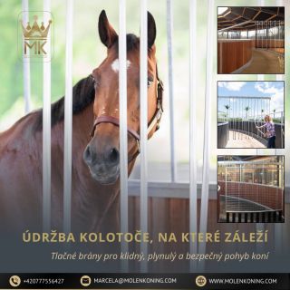 Níže máš hotovou finální verzi, můžeš ji rovnou kopírovat na FB i IG 👌 🛠️ KOLOTOČ POTŘEBUJE STEJNOU PÉČI JAKO KŮŇ Kolotoč...