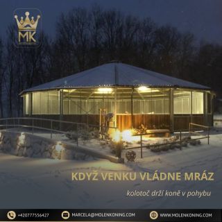 🐎 ZIMA A POHYB KONÍ Zima bývá často vnímána jako období klidu. Klid ale neznamená nehybnost. Kůň je pohybový organismus –...