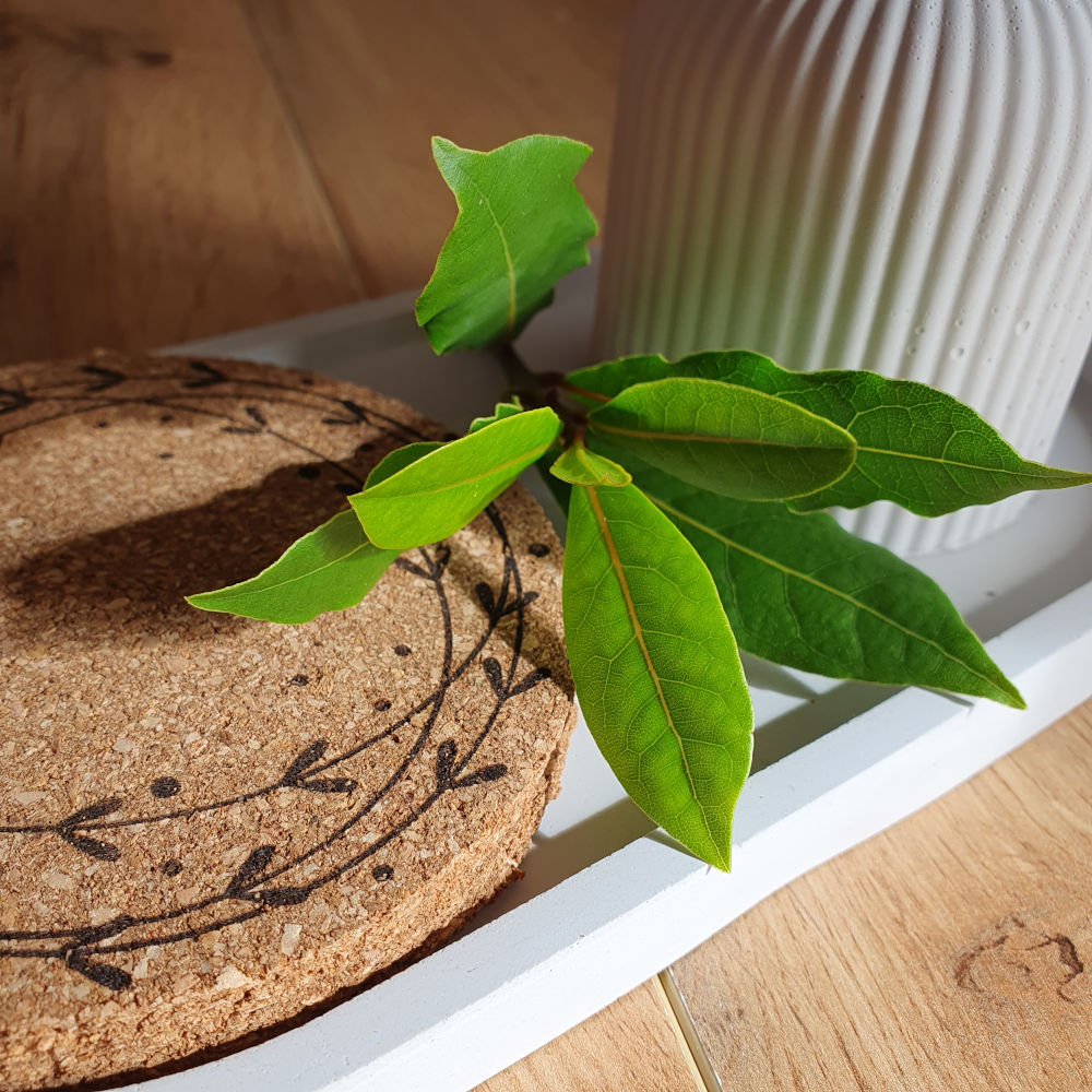 Vliv barev v interiéru na naši osobnost