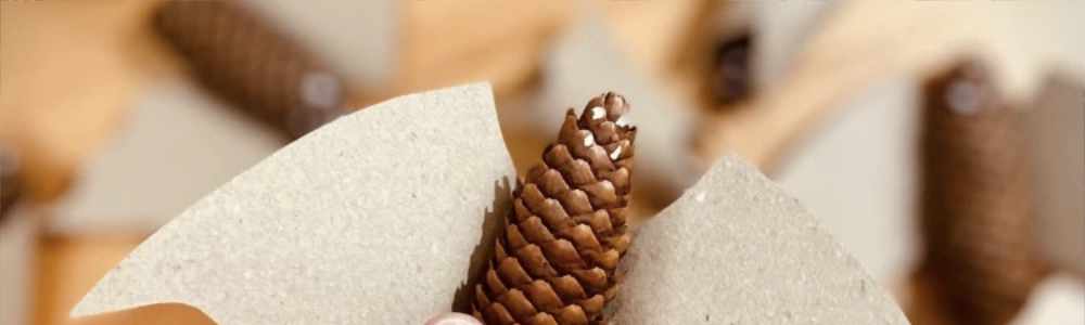 Jednoduché tvoření kouzelné PODZIMNÍ DEKORACE