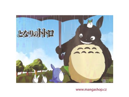 Plakát Totoro 25