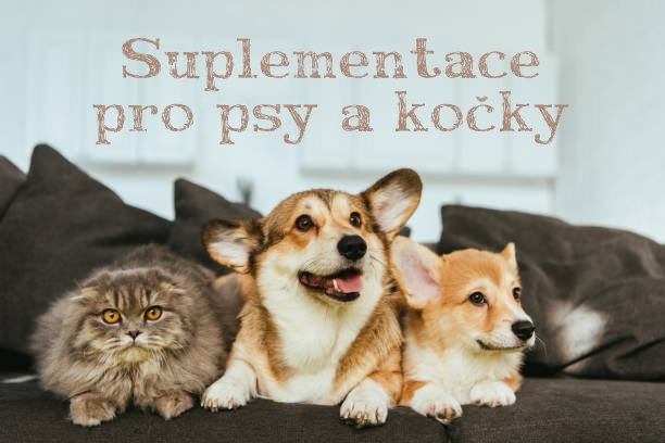 Pet's Life - Pro psy a kočky