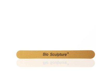 1009 Gold File Low Res
