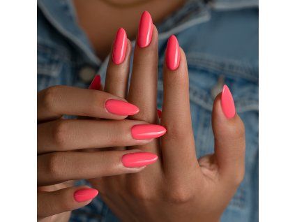 341 Coral Crush Lifestyle