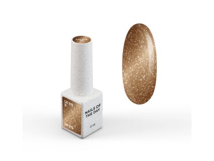 Gel polish cat eye NOTD 10 card