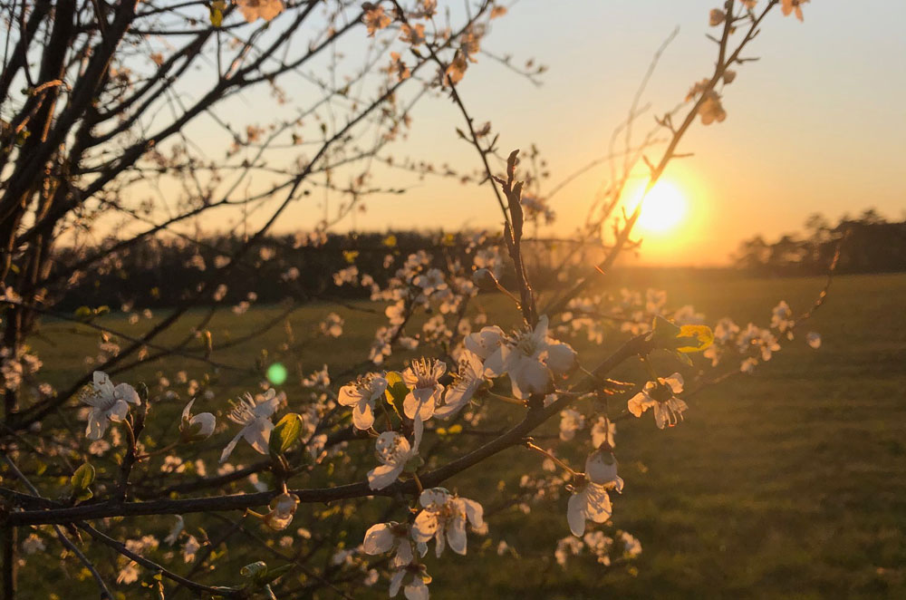 Jarní příležitosti