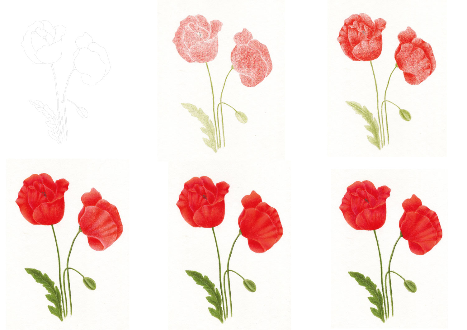 Jak hezky vymalovávat pastelkou