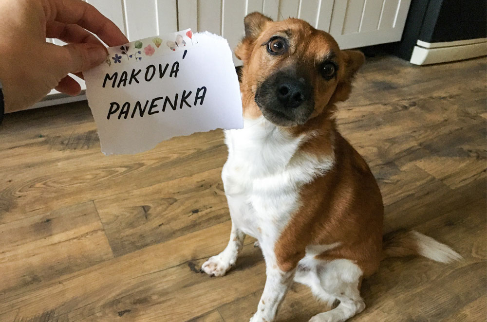 K čemu využít washi pásky?