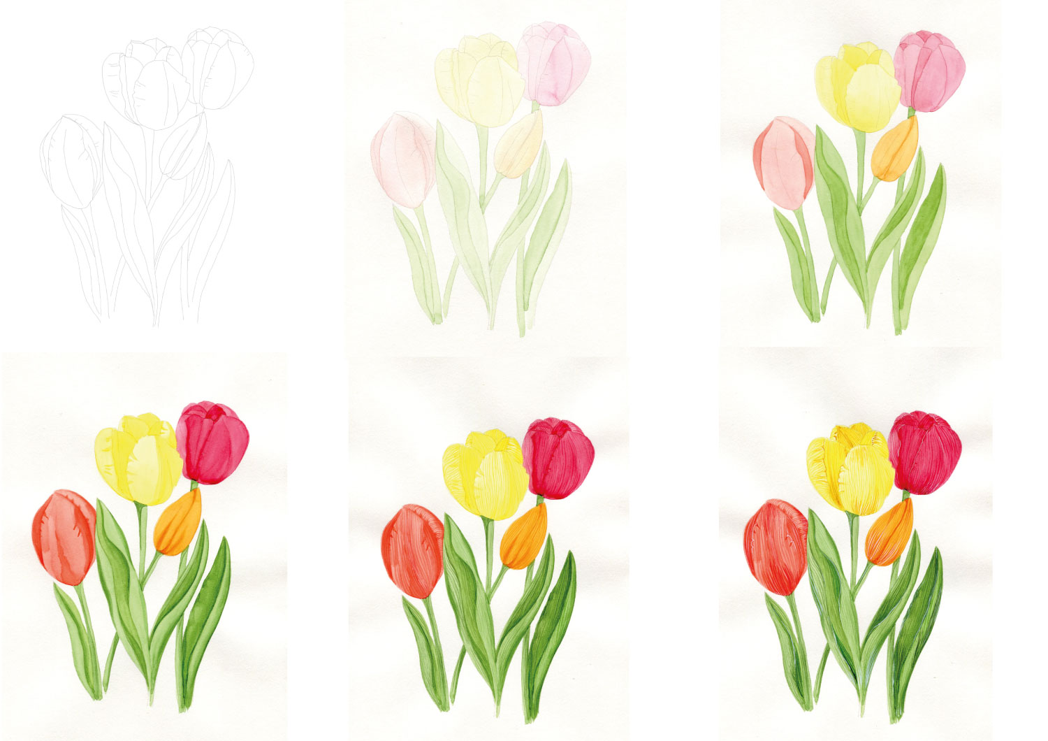 Jak vymalovávat akvarelové omalovánky