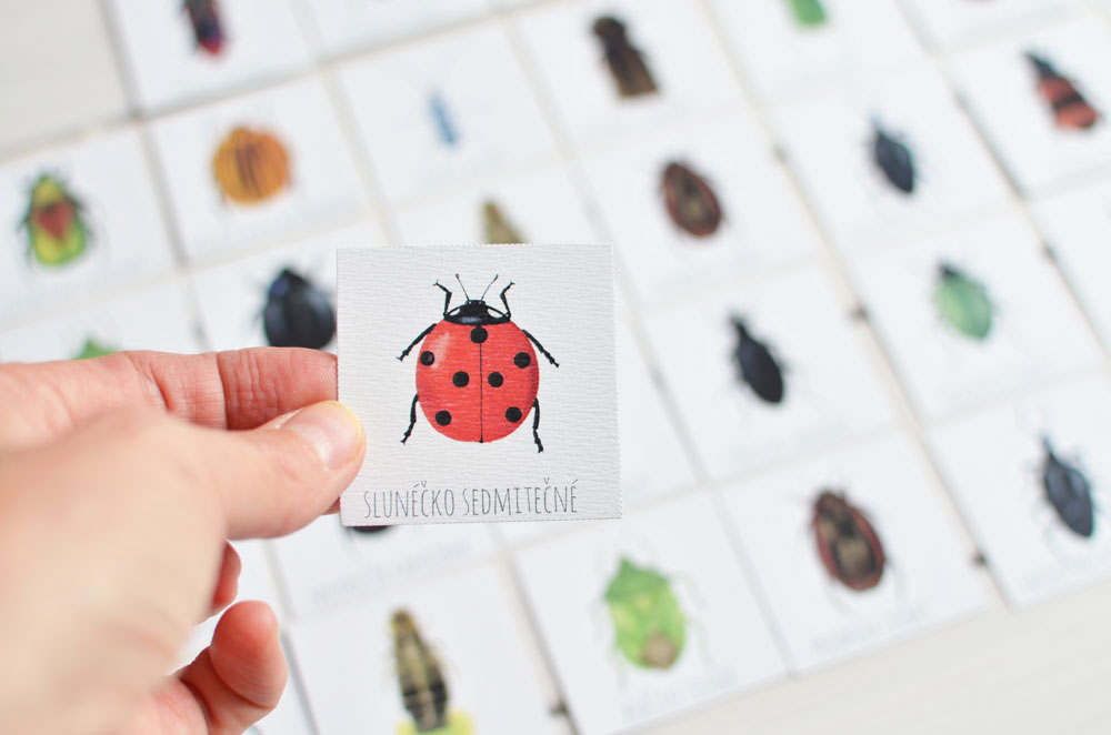 Jak hrát pexeso s dětmi od 1,5 roku?