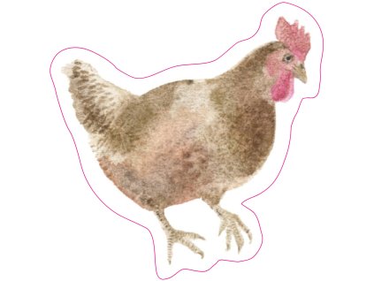 slepice hrabajici3