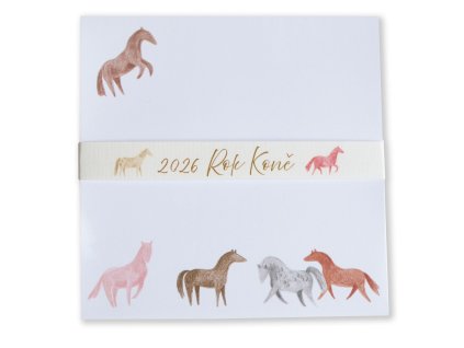 ctvercovy blocek kone4