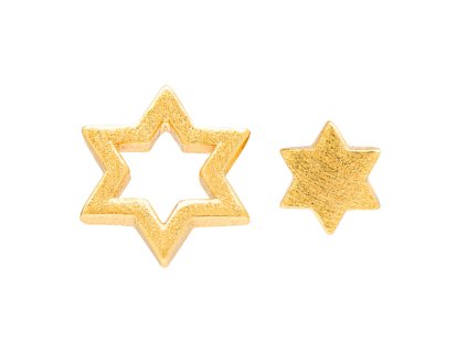 LULU1650 Family Star earrings pair Gold Plated Main