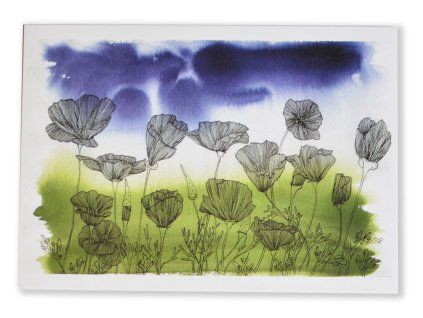 pohlednice sluncovky