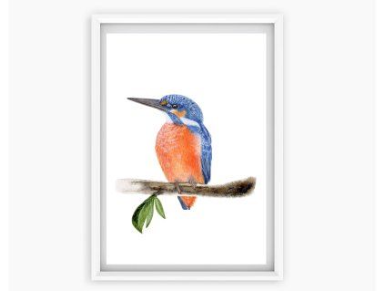 lednacek print1