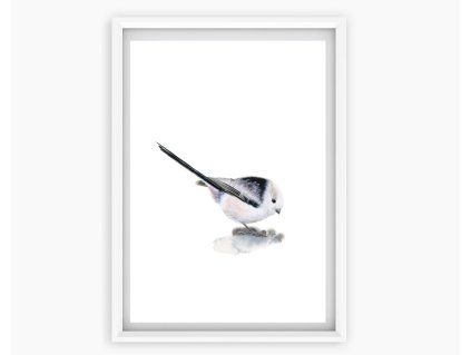 print mlynarik