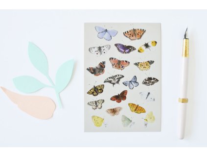 pohlednice motyli