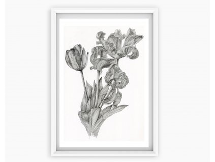 tulipany print